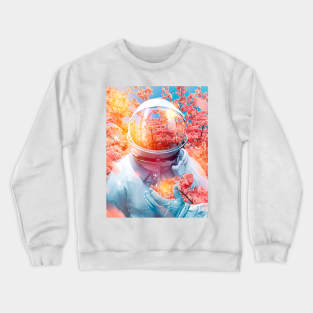 Petalnaut Crewneck Sweatshirt